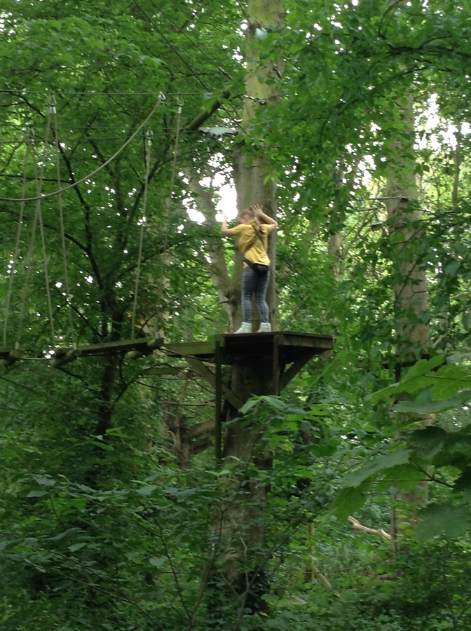 Arial Trail 2023